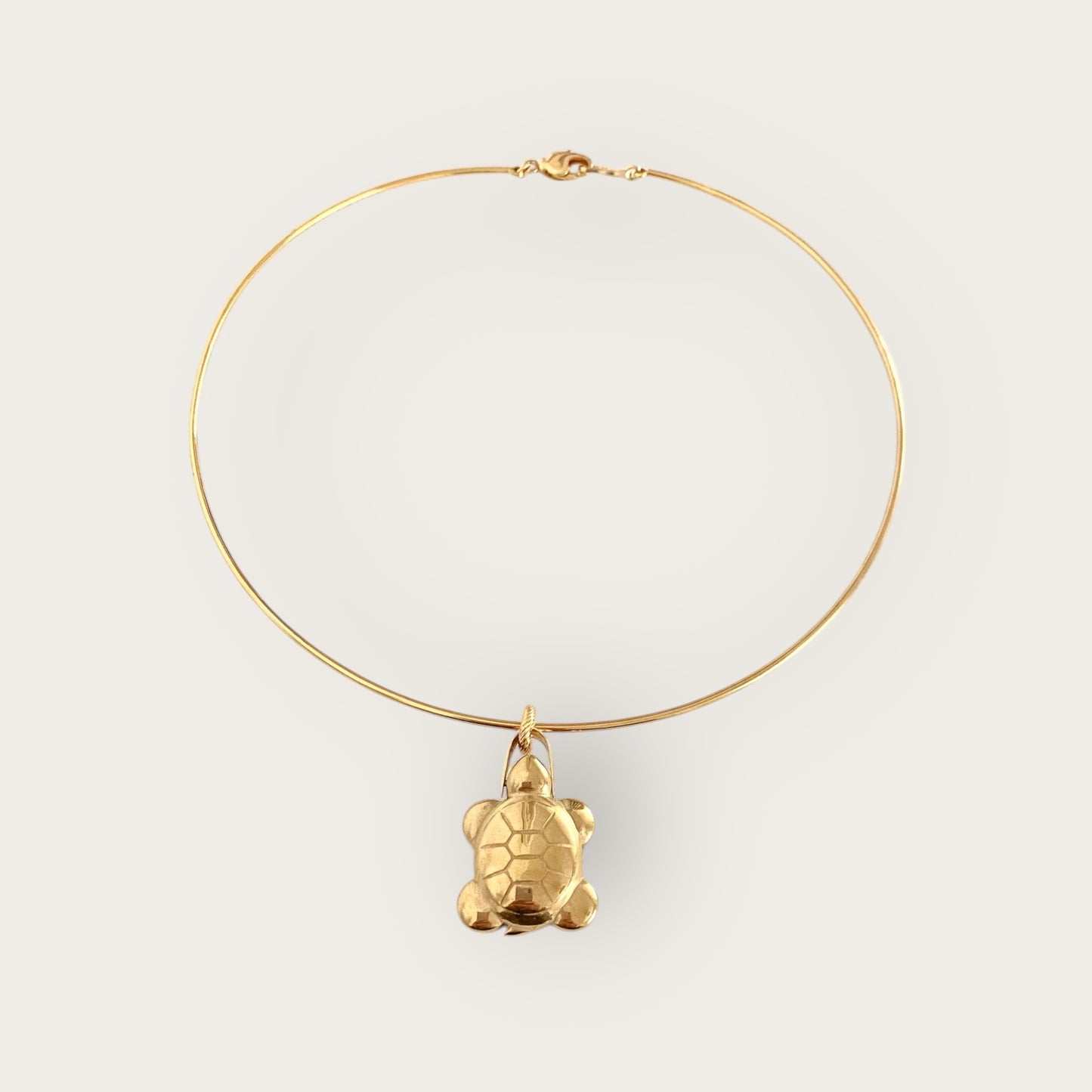 Turtle choker