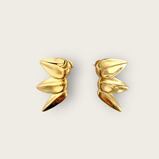 Special earrings