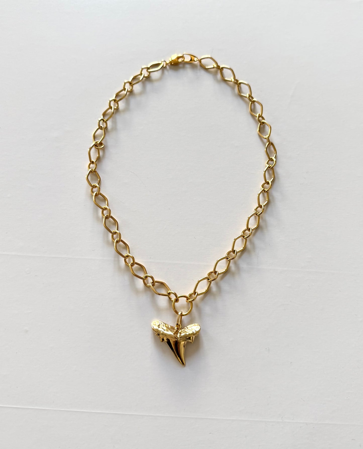 Necklace with tooth