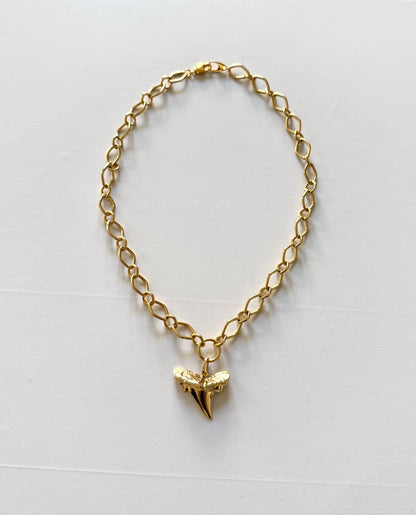 Necklace with tooth