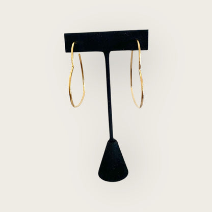 Big hearts earrings