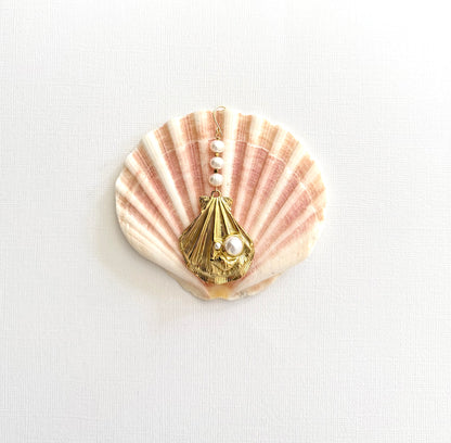 Shell earring