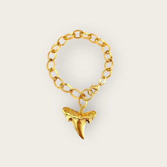 Bracelet with tooth