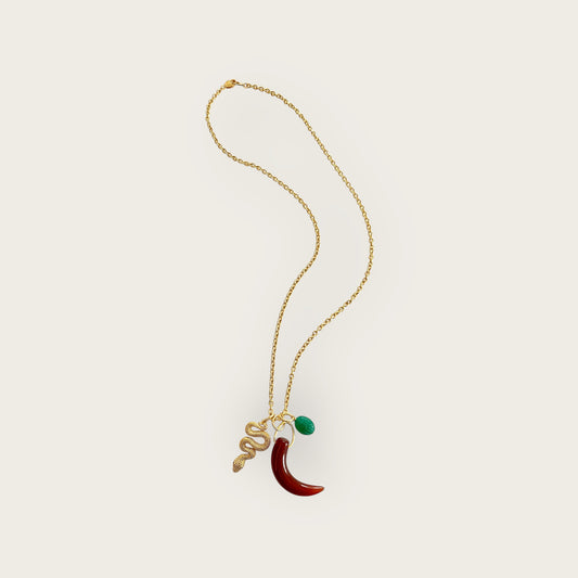 Long necklace with Tusk in Carnelian