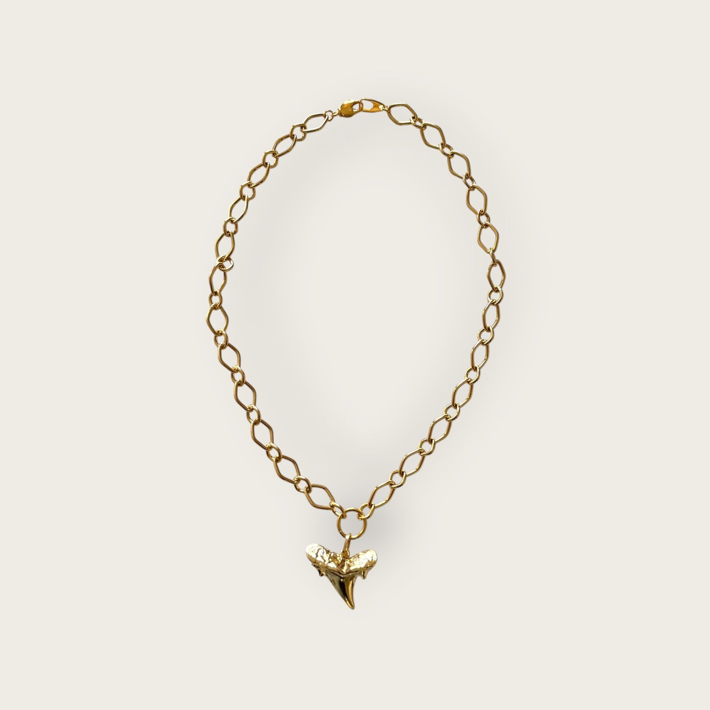 Necklace with tooth
