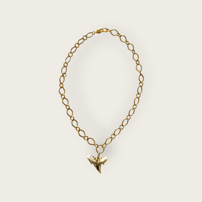 Necklace with tooth