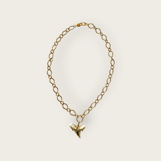 Necklace with tooth